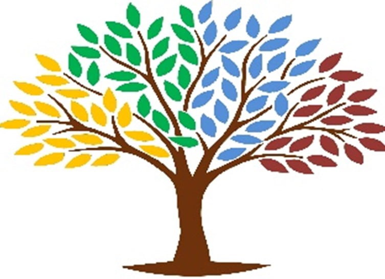 King Edward VI Balaam Wood Academy logo: a stylised tree with multi-coloured leaves in yellow, green, blue, and red.